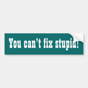 Adesivo Para Carro Você não pode fixar estúpido! Bumpersticker