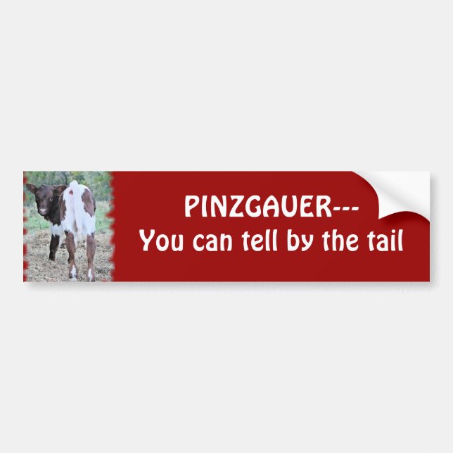 Adesivo Para Carro Você pode dizer bumpersticker-personaliza (Frente)