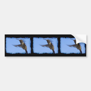 Adesivo Para Carro Voo do Hummingbird