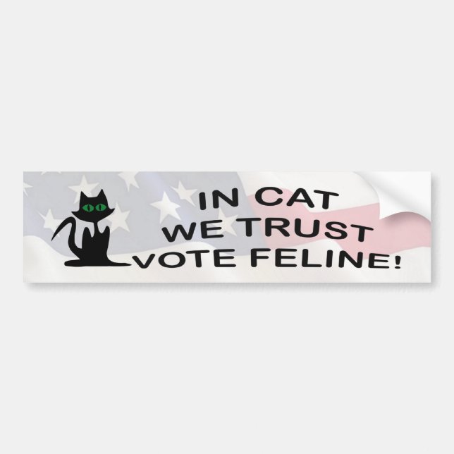 Adesivo Para Carro Vote Cat com Bandeira Americana (Frente)