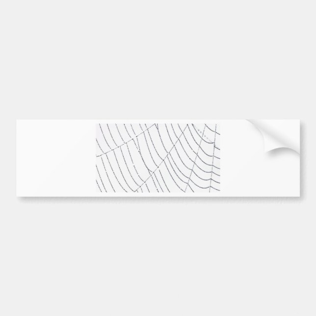 Adesivo Para Carro Web Spider (Frente)