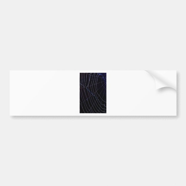 Adesivo Para Carro Web Spider (Frente)
