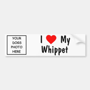 Adesivo Para Carro Whippet