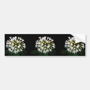 Adesivo Para Carro White Pentas