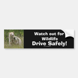 Adesivo Para Carro Wildlife Bears Design