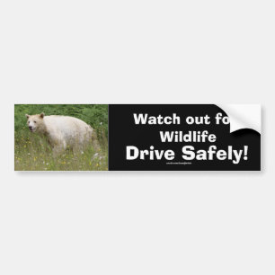 Adesivo Para Carro Wildlife Bears Design
