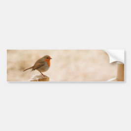 Adesivo Para Carro Winter Robin Redbreast