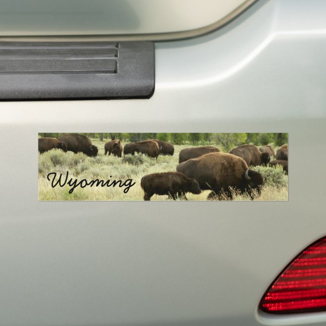 Adesivo Para Carro Wyoming Bison Nature (No carro)
