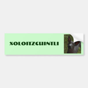Adesivo Para Carro Xoloitzcuintli
