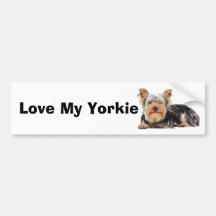 Adesivo Para Carro Yorkshire Terrier