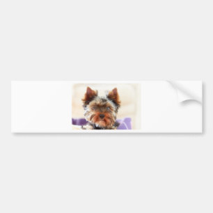 Adesivo Para Carro Yorkshire terrier