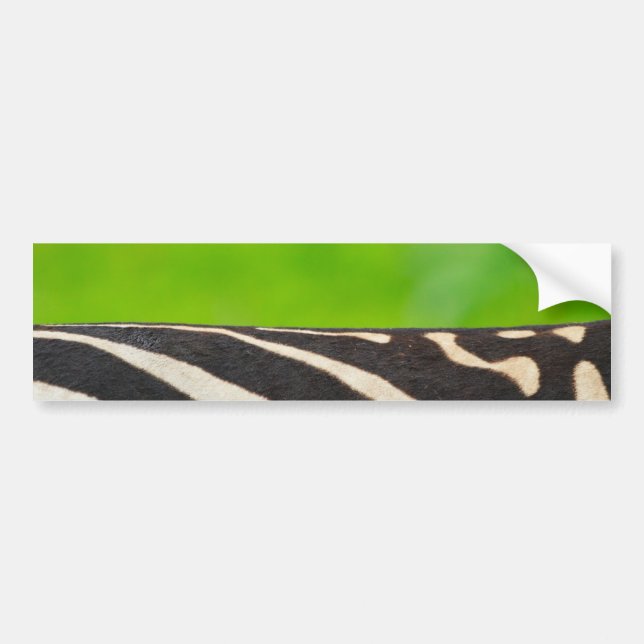 Adesivo Para Carro Zebra (Frente)