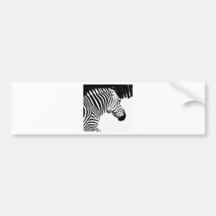 Adesivo Para Carro Zebra