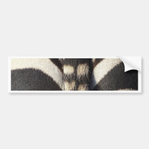 Adesivo Para Carro Zebra Tail