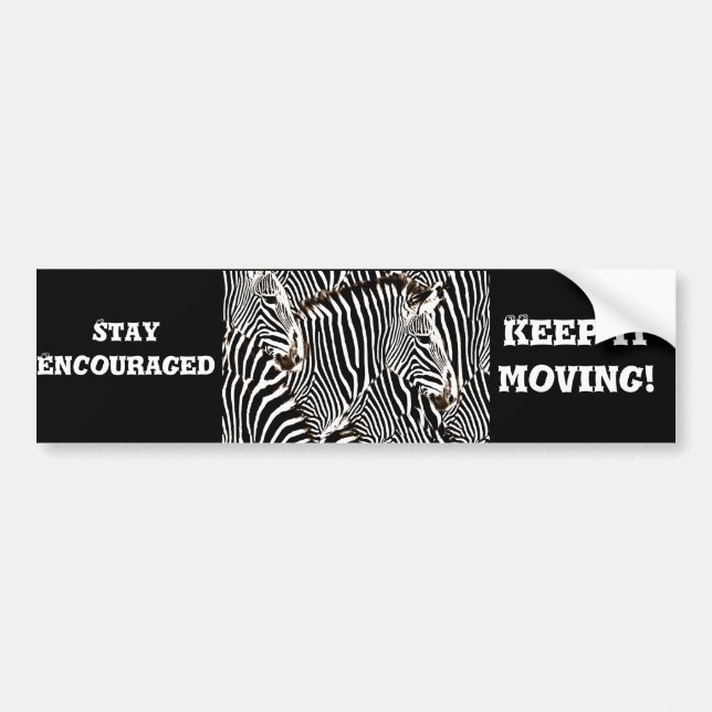 Adesivo Para Carro Zebras love_ (Frente)
