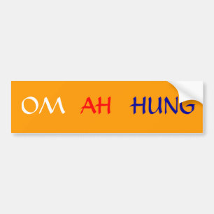 ADESIVO PARA CARRO ZUMBIDO DE OM AH -