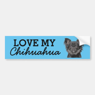 Adesivo para-choques Chihuahua