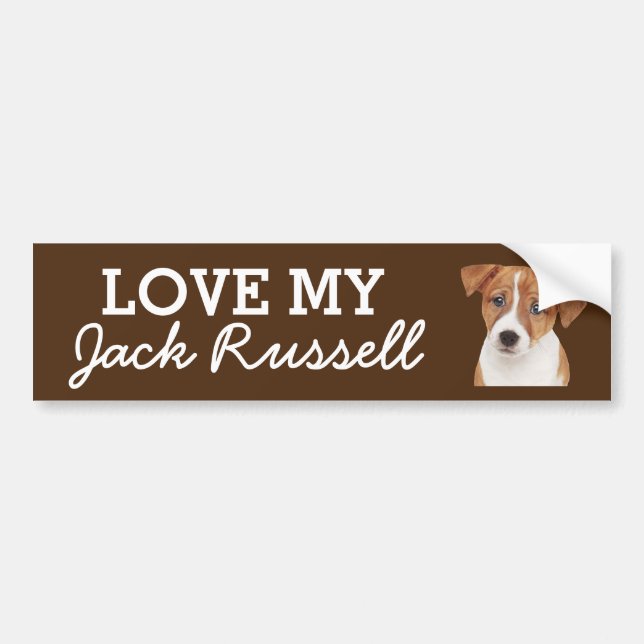 adesivo para-choques Jack Russell (Frente)