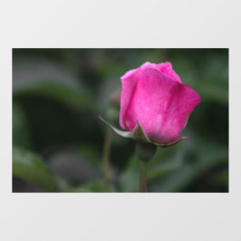 Adesivo para Janela - Elegante Botão de Rosa Rosa