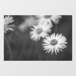 Adesivo para Janela - Flores de Margaridas Preto e