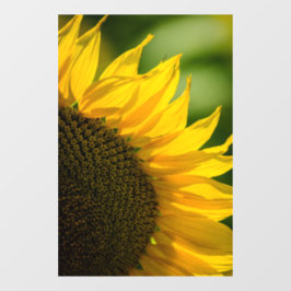 Adesivo para Janela - Fotografia da Natureza Flora