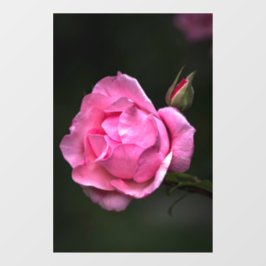 Adesivo para Janela - Fotografia da Natureza Flora