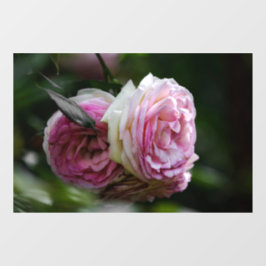 Adesivo para Janela - Rosas Rosa - Dueto Enrubesci