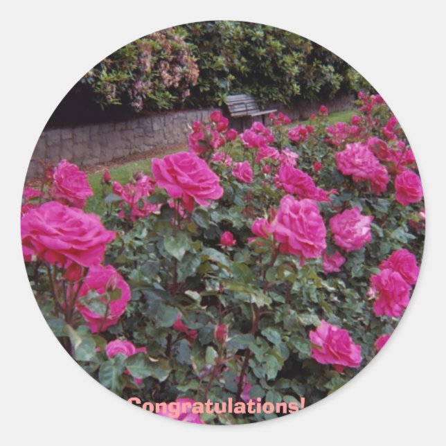 Adesivo Parabéns! (Frente)