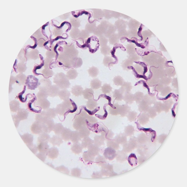 Adesivo Parasita Sanguíneo Trypanosoma (Frente)