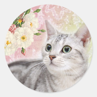 Adesivo Pare De Cheirar Os Rosas