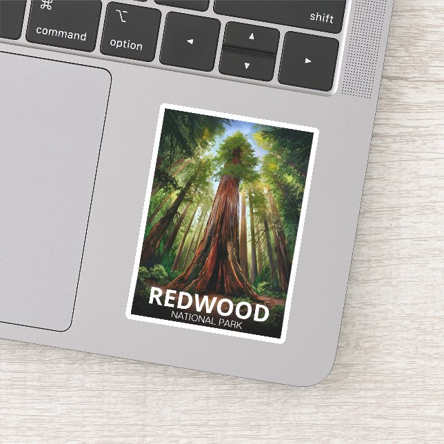 Adesivo Parque Estadual Nacional Redwood, Califórnia Coste (Detalhe)