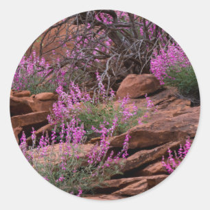 Adesivo Parque Nacional Capitol Reef, Utah, EUA