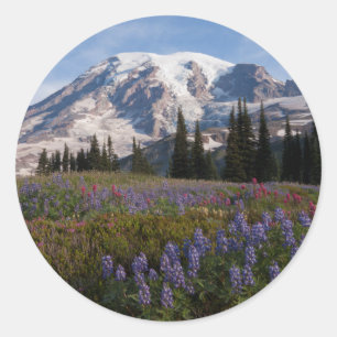 Adesivo Parque Nacional do Monte Rainier, Monte Rainier 3