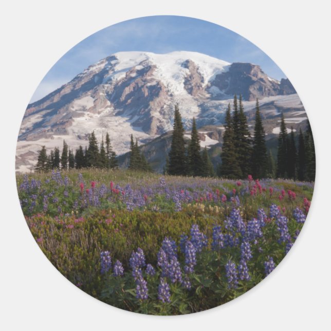 Adesivo Parque Nacional do Monte Rainier, Monte Rainier 3 (Frente)