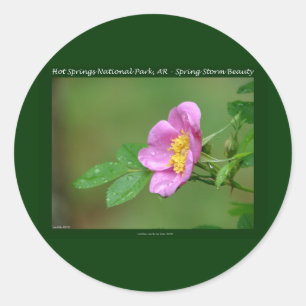 Adesivo Parque Nacional Hot Springs, AR Presentes Wild Ro