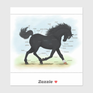 Adesivo Partes de Beleza Negra do Gráfico de Anatomia do 