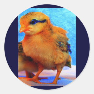 Adesivo Páscoa-A-Dee-Light