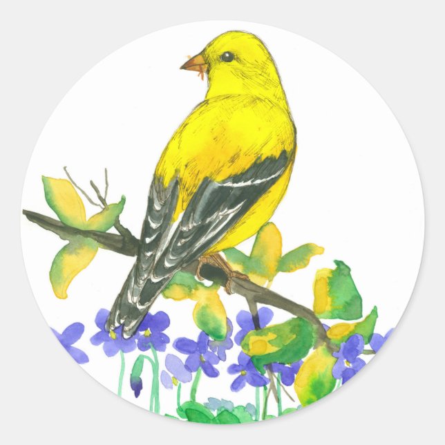 Adesivo Pássaro Amarelo Goldfinch Aquarela Violetas Púrpur (Frente)