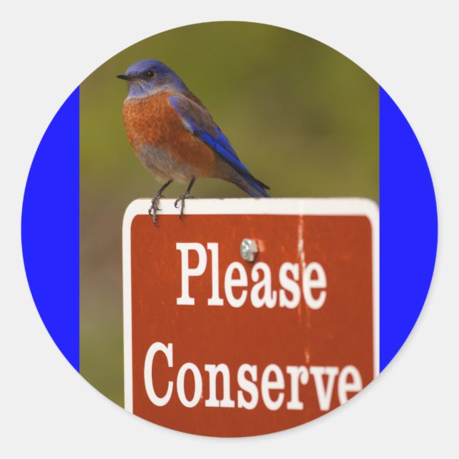 Adesivo pássaro azul (Frente)