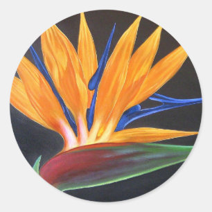 Adesivo Pássaro da pintura tropical da flor do paraíso -