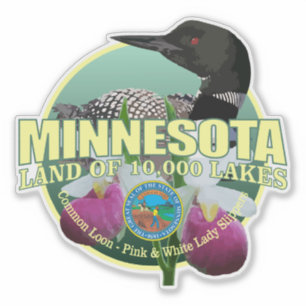 Adesivo Pássaro & flor de estado de Minnesota