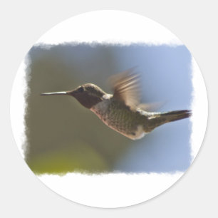 Adesivo Pássaro Hummingno Voo