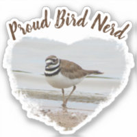 Pássaro Nerd da costa Sandpiper Hobby Birder