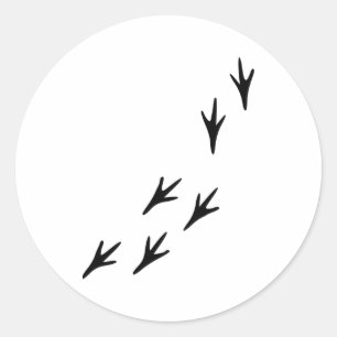 Adesivo Pássaro - Rastreios