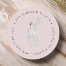 Pássaro Rouxinol Cantando aquarela Endereço de Dev