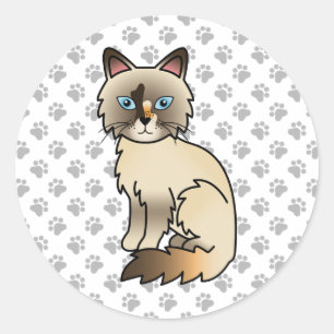 Adesivo Pássaro TortoisesInferno / Ragdoll Gato e Patas