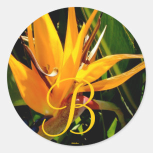 Adesivo Pássaro tropical do casamento do selo do monogram