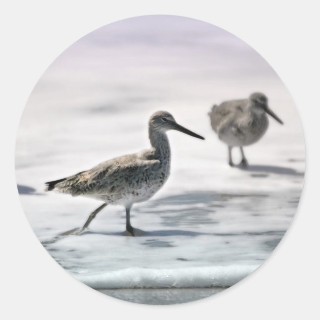 Adesivo Pássaros (Frente)