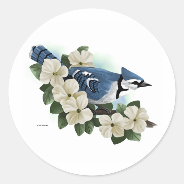 Adesivo Pássaros (Frente)