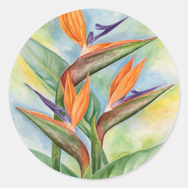 Adesivo Pássaros De Flores De Aquarelas Do Paraíso Pintura (Frente)